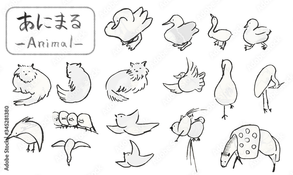 筆で描いた手描きの鳥や猫、可愛い動物イラスト