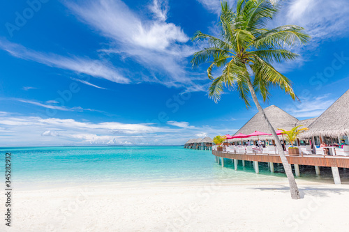 Fototapeta Naklejka Na Ścianę i Meble -  Maldives paradise beach. Perfect tropical island. Beautiful palm trees and tropical beach. Moody blue sky and blue lagoon. Luxury travel summer holiday background concept.
