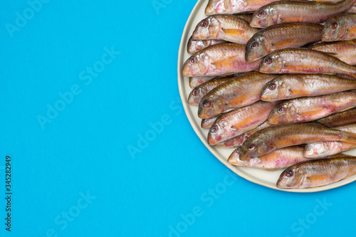 Black sea fish, the red mullet in a white ceramic bowl on a blue background. A lot of barabulka fish. Top view with space for text