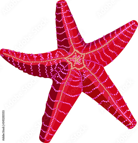 red star fish