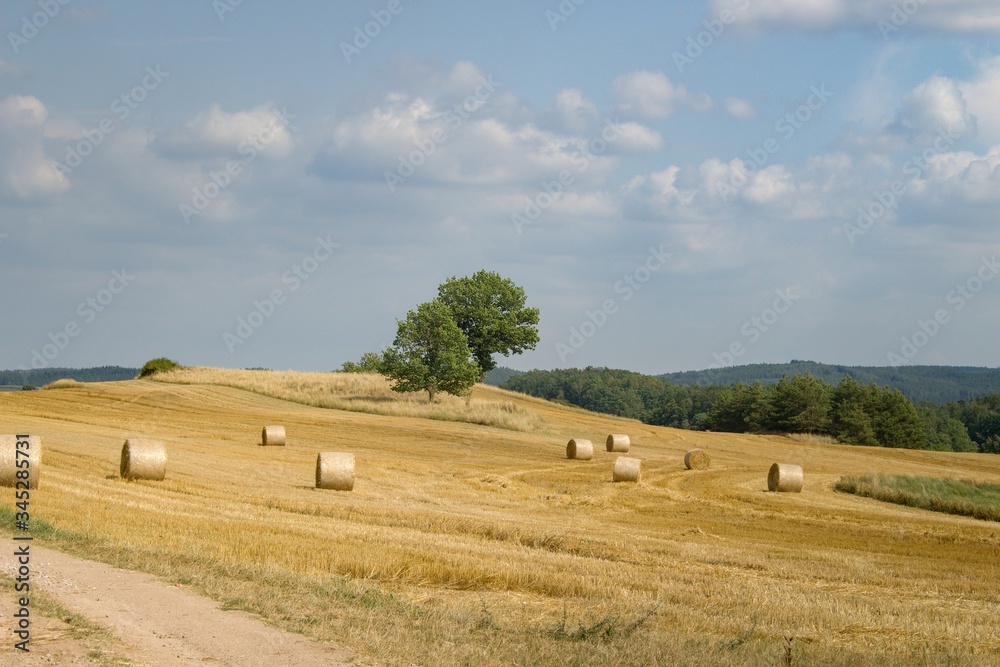 Beautiful sunny photo of straw bales after harvest in a field near Blatna in South Bohemia, Czech Republic