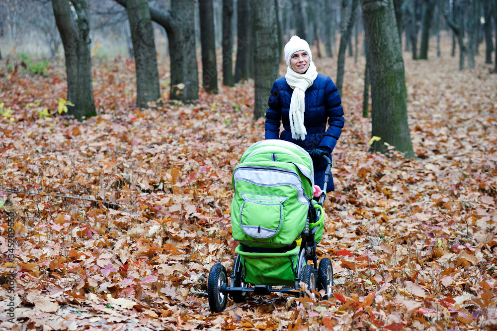 image of young mother with baby trolley walking in autumn park. image of young mother with baby trolley walking in autumn park.