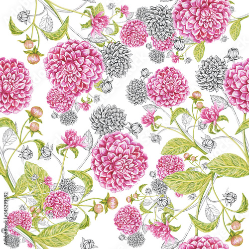 dahlias pattern isolate watercolor background