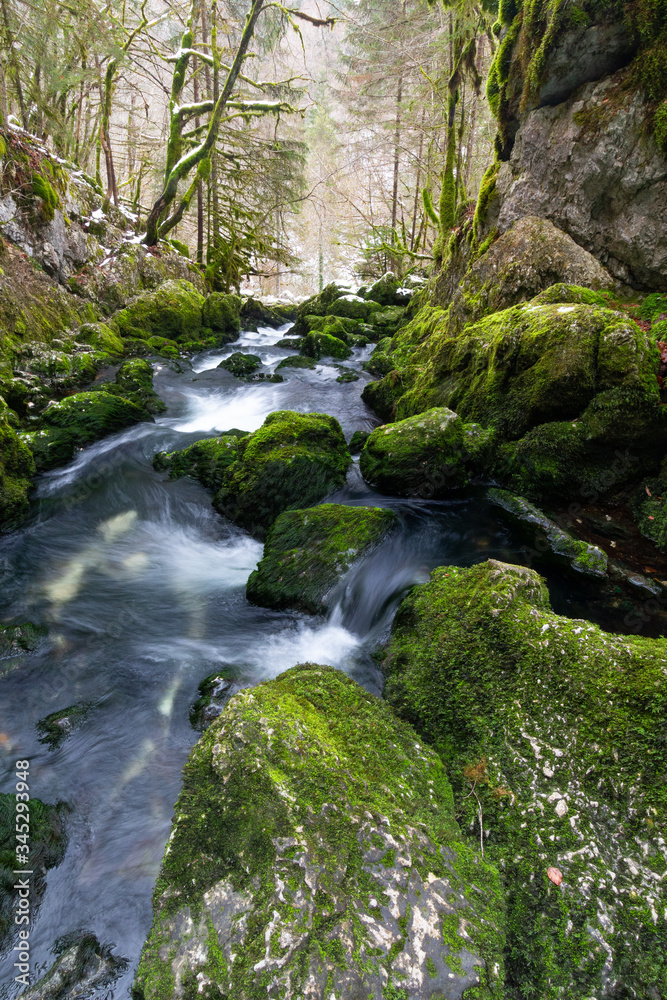 eau source rivière avec des cailloux recouvert de mousse!