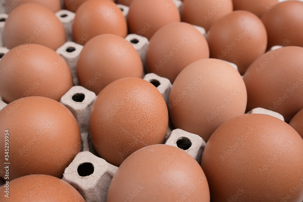 fresh organic egg in paper panel of consume industry fresh organic egg in paper panel of consume industry