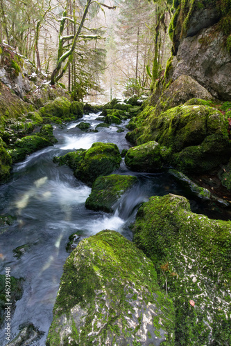 eau source rivière avec des cailloux recouvert de mousse!