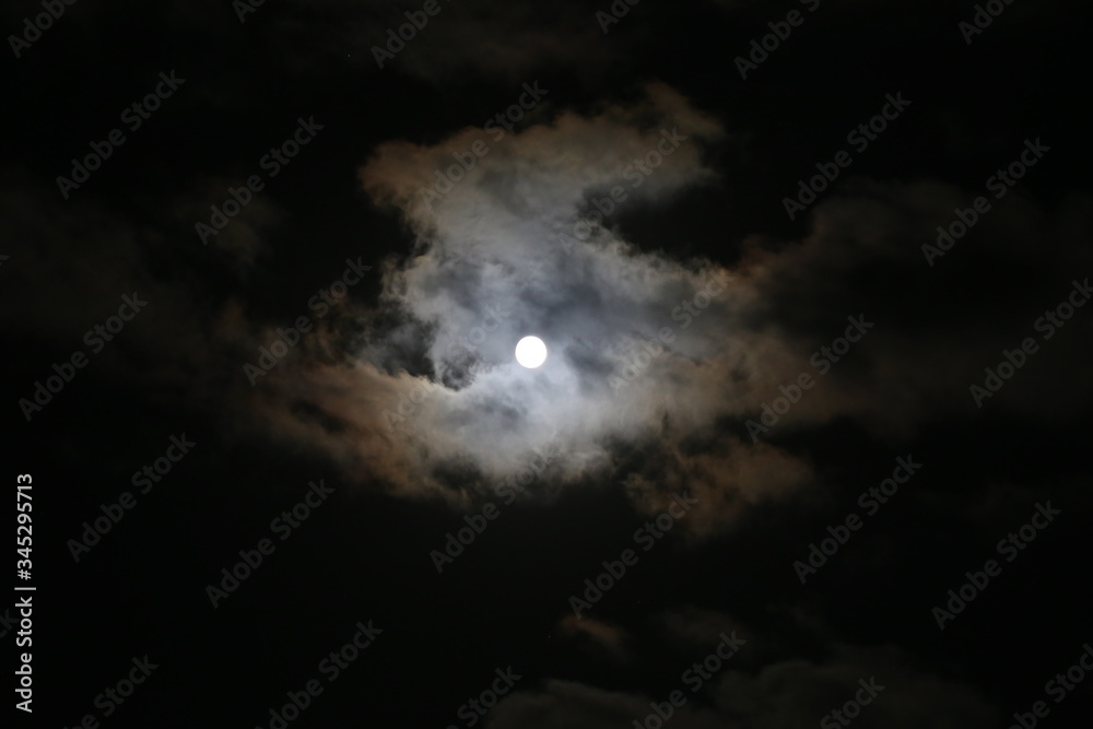 moonlight in a dark night