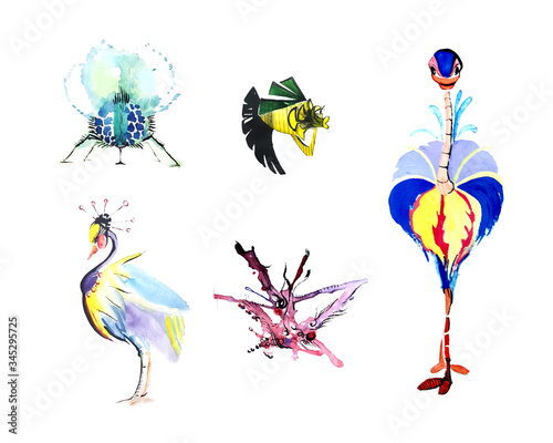 Ostrich bird, heron, fish, pink coral, spider. Sketches in the technique of watercolor and acrylic water texture for the background. Vector illustration.