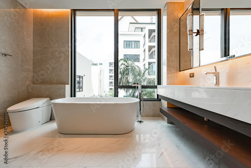 Luxury bathroom toilet bowl and bathtub