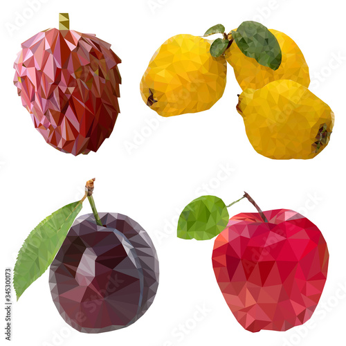 Fruit. Annona, Quince, Plum, Apple.