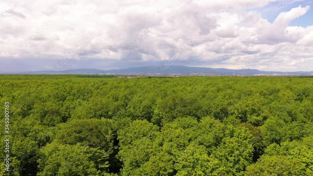 Aerial view of treetops forest near Zagreb during cloudy day, Croatia. Aerial view of treetops forest near Zagreb during cloudy day, Croatia.