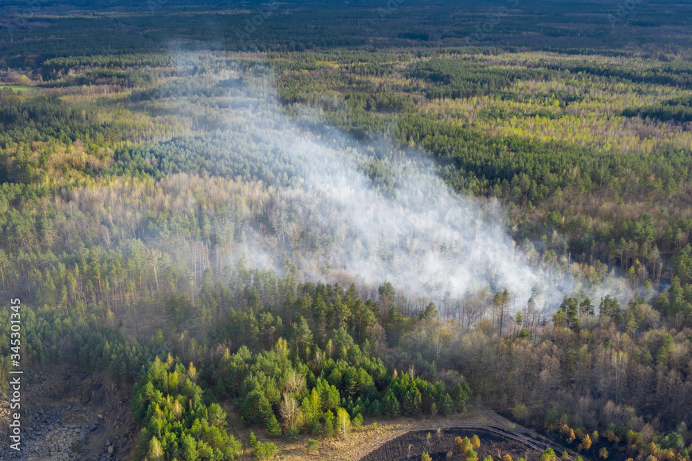 Forest after wildfires. The forest is still in smoke. Natural disasters or arson in April 2020. North of Ukraine, Zhytomyr region. Forest after wildfires. The forest is still in smoke. Natural disasters or arson in April 2020. North of Ukraine, Zhytomyr region.