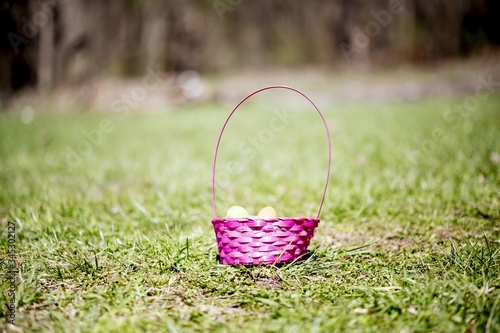 Selective focus shot of a bink basket filled with colored eggs in a field captured on a sunny day photo