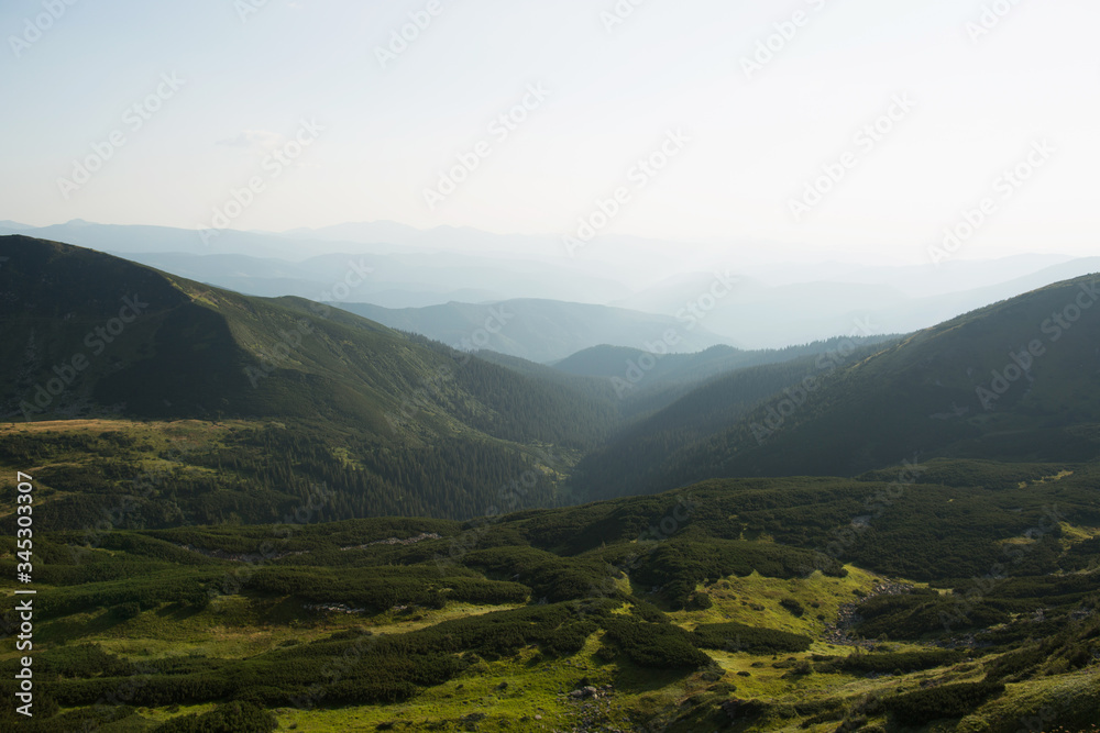 The beautiful landscape of the green European mountains - the Carpathians