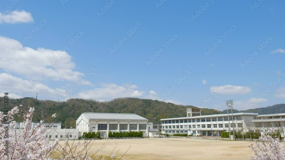 動画素材:学校と桜の花 春イメージ 入学式 新学期 動画素材:学校と桜の花 春イメージ 入学式 新学期