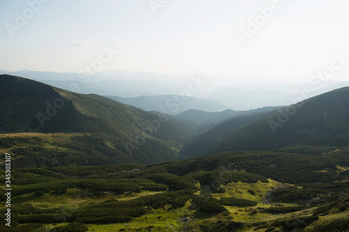 The beautiful landscape of the green European mountains - the Carpathians