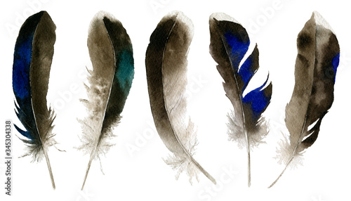 Fotografie Set of duck and drake feathers hand drawn in watercolor isolated on the white background