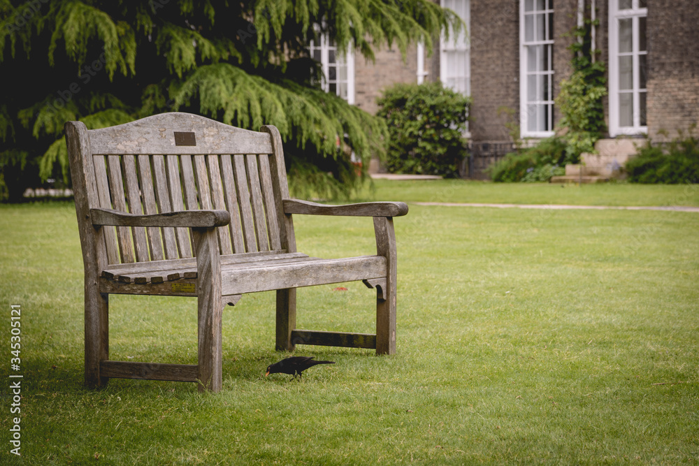 Empty benches in the garden of the Downing College, a constituent college of the University of Cambridge. Empty benches in the garden of the Downing College, a constituent college of the University of Cambridge.