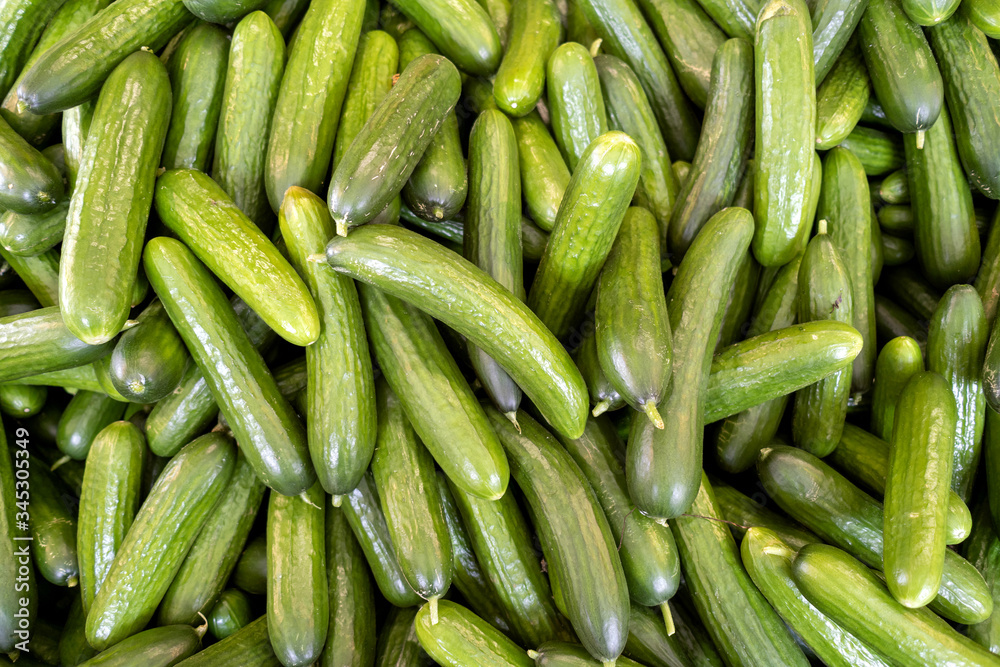 cucumbers at market for background use cucumbers at market for background use