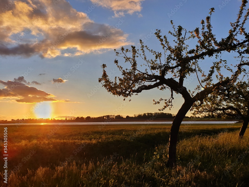 Fototapeta premium Sonnenuntergang