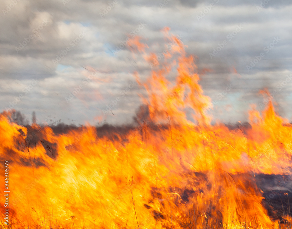 Big fire in the field