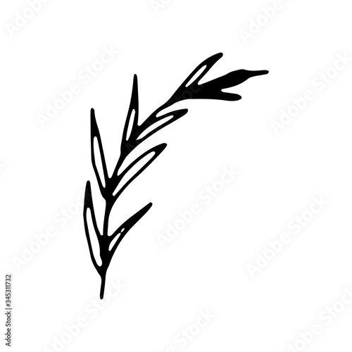 tree branches, eucalyptus, palm leaves, herbs and flowers silhouettes.Hand drawn vector frame. Floral wreath with leaves for wedding and holiday. Decorative elements for design. Isolated. doodles