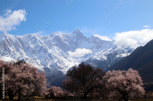 Through the mountains and wild pink peach blossoms, looking at Nanjiabawa Peak, against the blue sky, white clouds, and green water, it is even more steep and majestic! photo