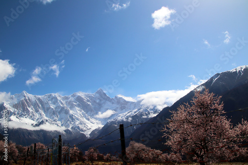 Through the mountains and wild pink peach blossoms, looking at Nanjiabawa Peak, against the blue sky, white clouds, and green water, it is even more steep and majestic! photo