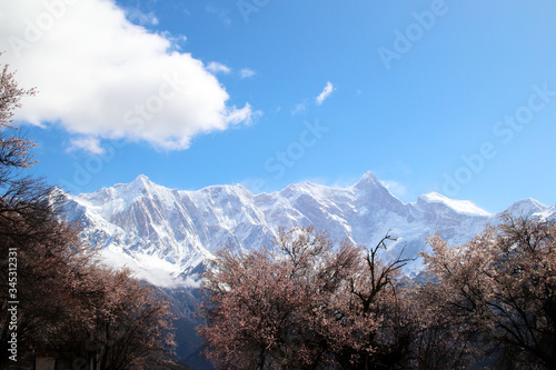 Through the mountains and wild pink peach blossoms, looking at Nanjiabawa Peak, against the blue sky, white clouds, and green water, it is even more steep and majestic! photo