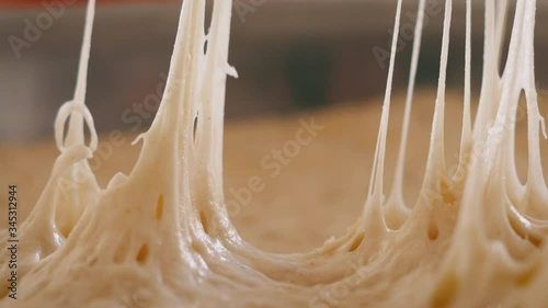 Peeling plastic wrap off risen bread dough. The gluten stretches showing the raw flour mixture can be formed into a loaf and baked. Making sourdough from scratch is a trending hobby of covid lockdown.