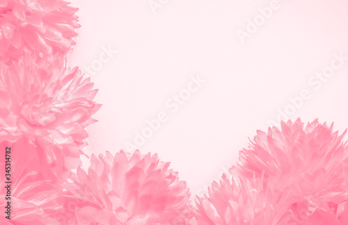 Beautiful abstract color orange pink flowers on white background and purple graphic white flower frame and pink leaves texture, pink background, colorful orange graphics banner 