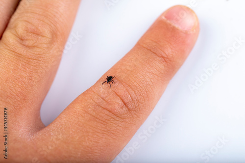 фотографія Tick fingers