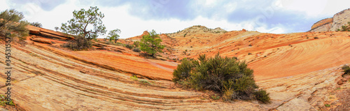 Landscape of Zion National Park, USA, with red rocks, Panorama
