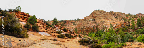 Landscape of Zion National Park, USA, with red rocks, Panorama