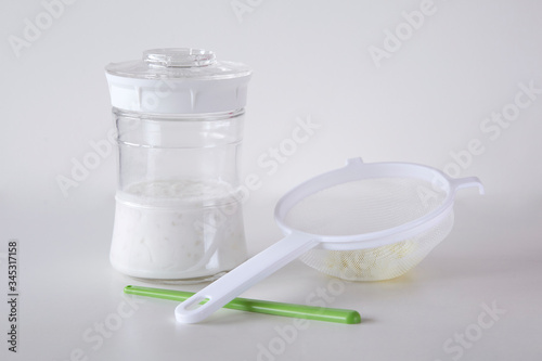 Kefir set with kefir grains, milk, plastic strainer and stirring stick