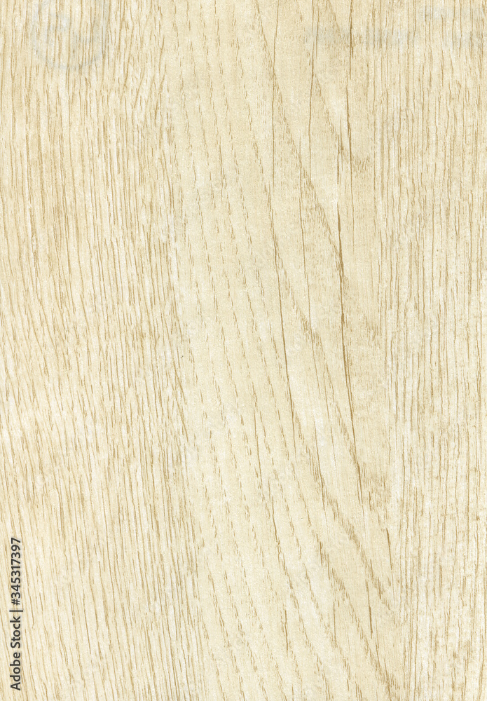 Fototapeta premium wooden texture background