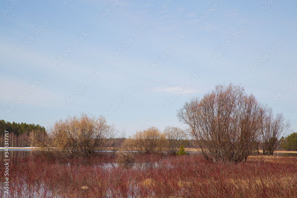 Spring on the lake. Spill in the spring. The trees in the water. Spring on the lake. Spill in the spring. The trees in the water.