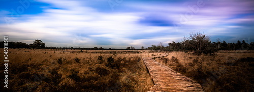 Panorama Dutch landscape at the Strabrechtse Heide, Noord Brabant (North Brabant), the Netherlands. Wooden pathway through heathland.  photo