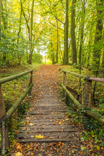 Holzbrücke führt über einen kleinen Bach im Wald