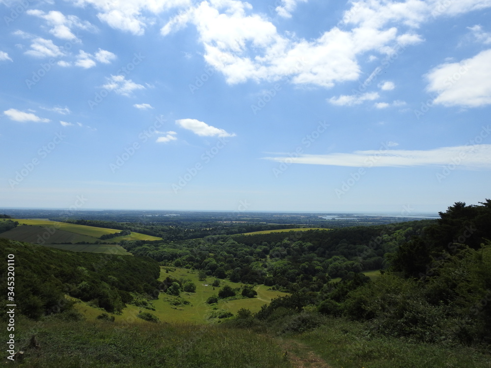Panoramic view of meadow fields, forests and more