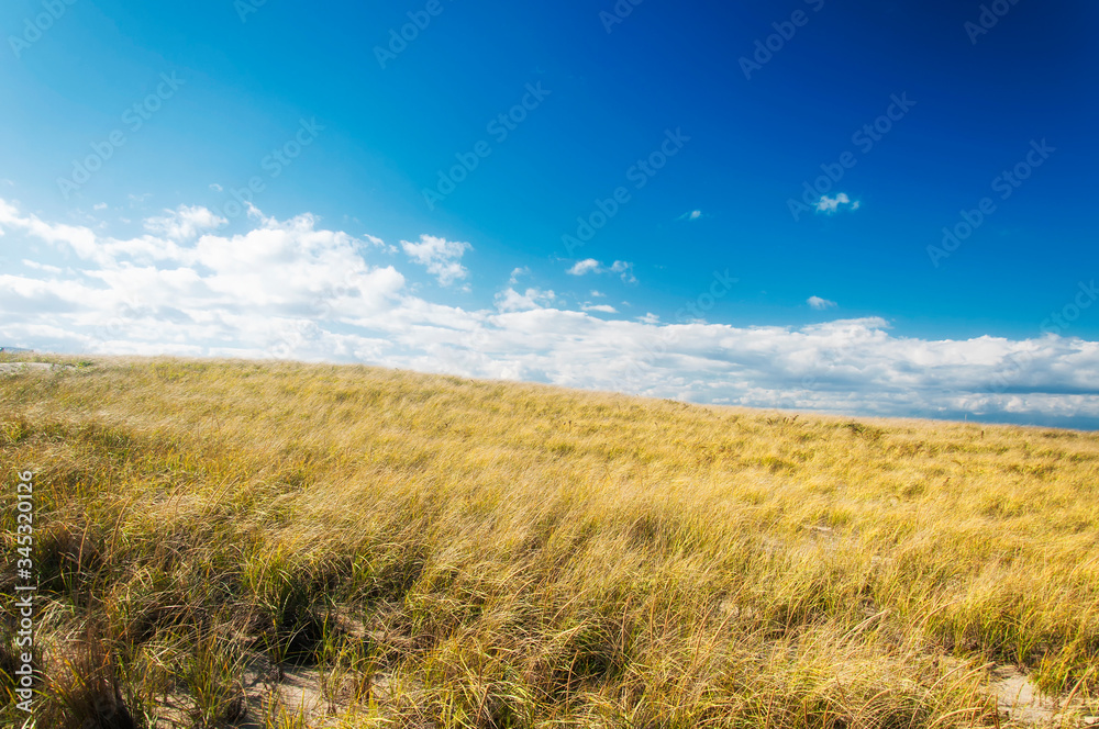 Cape Cod National Seashore Massachusetts grass covered sand dunes landscape