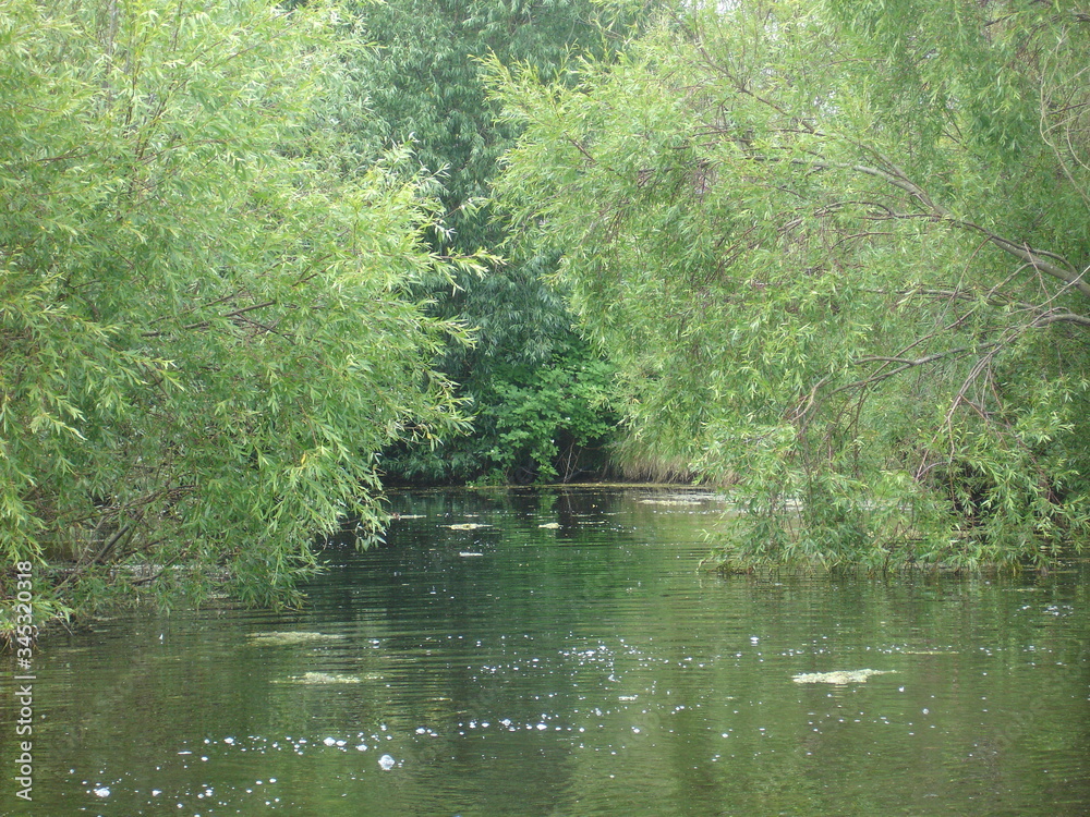 Fototapeta premium Teich_005