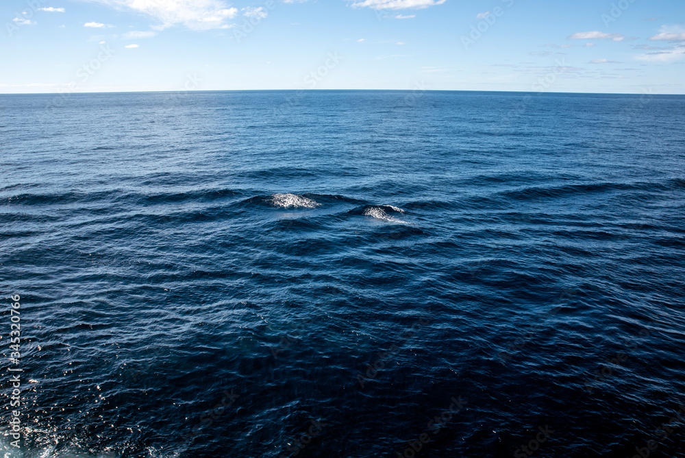 Obraz premium sea and sky