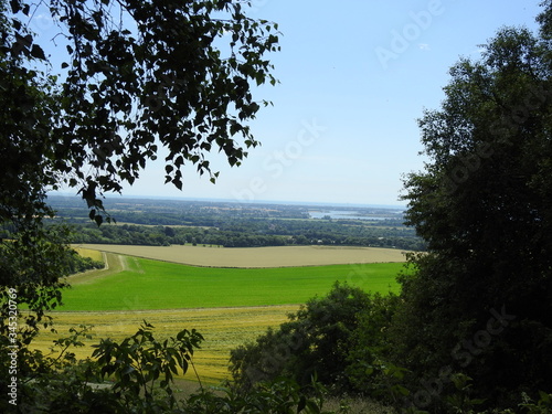 Light green fields and trees in the landscape