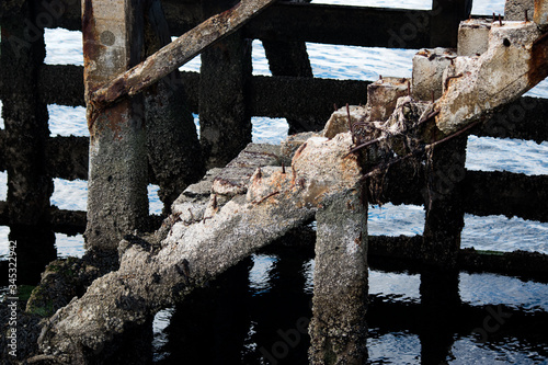 weedy wooden pier photo