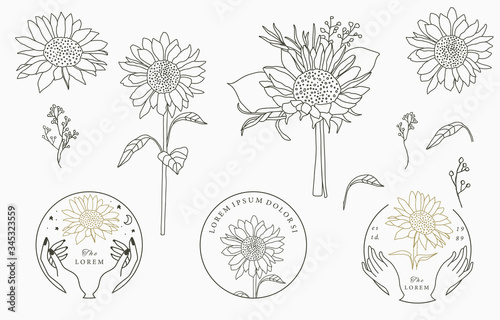 Black,gold flower logo collection with flower,leaves,geometric.Vector illustration for icon,logo,sticker,printable and tattoo