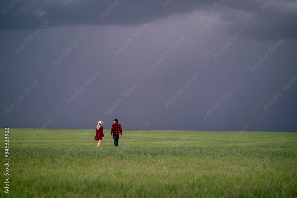 Typical landscape of a field with crops with a couple of farmers. . Typical landscape of a field with crops with a couple of farmers. .
