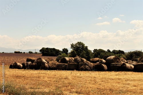 meule de foin photo