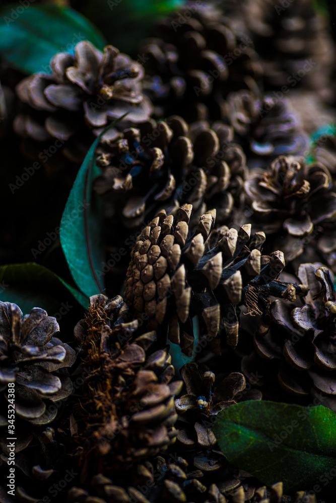 Pine Cones and Leaves Pine Cones and Leaves