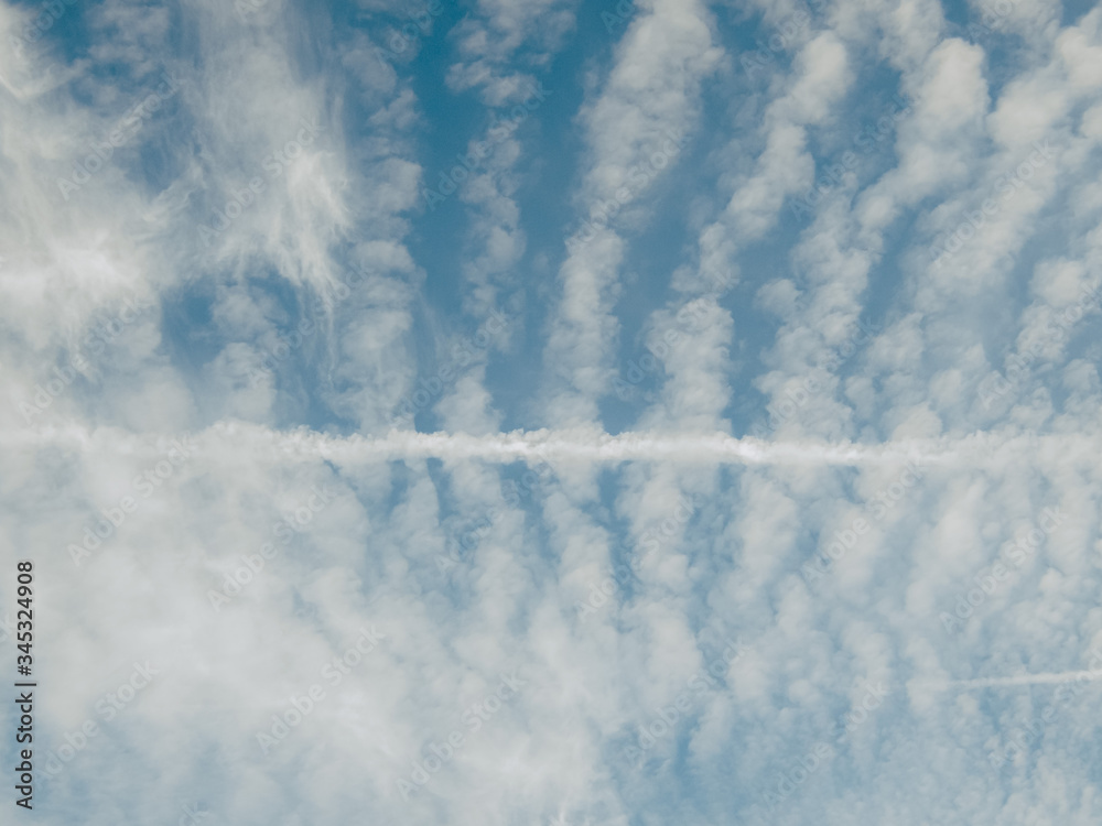Fototapeta premium The blue sky is covered by the Cirrocumulus cloud.